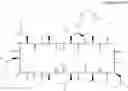 Fig. 117 - CYCLOSPORIN A ANALOGS