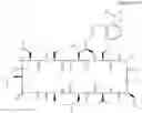 Fig. 121 - CYCLOSPORIN A ANALOGS