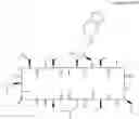 Fig. 124 - CYCLOSPORIN A ANALOGS