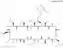 Fig. 133 - CYCLOSPORIN A ANALOGS