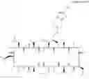 Fig. 135 - CYCLOSPORIN A ANALOGS