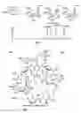 Fig. 02 - Site-selective functionalization of glycopeptide antibiotics
