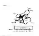 Fig. 02 - Cyclotides as immunosuppressive agents