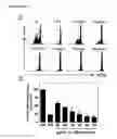 Fig. 04 - Cyclotides as immunosuppressive agents