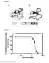 Fig. 09 - Cyclotides as immunosuppressive agents