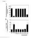 Fig. 10 - Cyclotides as immunosuppressive agents