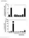 Fig. 11 - Cyclotides as immunosuppressive agents