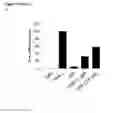 Fig. 18 - Cyclotides as immunosuppressive agents