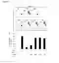 Fig. 19 - Cyclotides as immunosuppressive agents