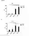Fig. 27 - Cyclotides as immunosuppressive agents
