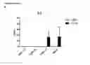 Fig. 29 - Cyclotides as immunosuppressive agents