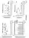 Fig. 08 - PALIVIZUMAB EPITOPE-BASED VIRUS-LIKE PARTICLES