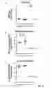 Fig. 13 - PALIVIZUMAB EPITOPE-BASED VIRUS-LIKE PARTICLES