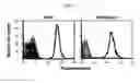 Fig. 07 - Multiple variants of meningococcal protein NMB1870