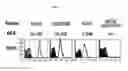 Fig. 09 - Multiple variants of meningococcal protein NMB1870