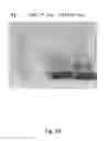 Fig. 06 - IMMUNOGENIC COMPOSITION COMPRISING ALPHA-HEMOLYSIN OLIGOPEPTIDES