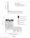 Fig. 14 - Mono or multivalent botulinum neurotoxin based vaccine using the heavy chain from serotypes of 