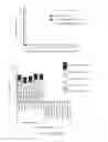 Fig. 16 - Mono or multivalent botulinum neurotoxin based vaccine using the heavy chain from serotypes of 