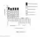 Fig. 20 - Mono or multivalent botulinum neurotoxin based vaccine using the heavy chain from serotypes of 