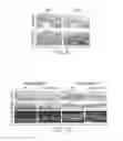 Fig. 03 - PTD-SMAD7 therapeutics