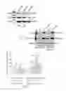 Fig. 07 - PTD-SMAD7 therapeutics