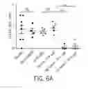 Fig. 17 - PTD-SMAD7 therapeutics