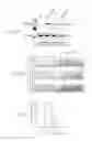 Fig. 21 - PTD-SMAD7 therapeutics