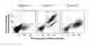 Fig. 04 - POLYPEPTIDES TARGETING VASCULAR ENDOTHELIAL GROWTH FACTOR RECEPTOR-2 AND ALPHA V BETA 3 INTEGRIN