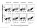 Fig. 05 - POLYPEPTIDES TARGETING VASCULAR ENDOTHELIAL GROWTH FACTOR RECEPTOR-2 AND ALPHA V BETA 3 INTEGRIN