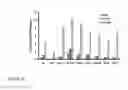 Fig. 13 - POLYPEPTIDES TARGETING VASCULAR ENDOTHELIAL GROWTH FACTOR RECEPTOR-2 AND ALPHA V BETA 3 INTEGRIN