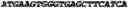 Fig. 04 - Modified Mullerian inhibiting substance (MIS) proteins and uses thereof for the treatment of diseases
