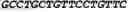 Fig. 05 - Modified Mullerian inhibiting substance (MIS) proteins and uses thereof for the treatment of diseases
