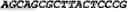 Fig. 06 - Modified Mullerian inhibiting substance (MIS) proteins and uses thereof for the treatment of diseases