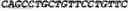 Fig. 10 - Modified Mullerian inhibiting substance (MIS) proteins and uses thereof for the treatment of diseases