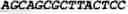 Fig. 11 - Modified Mullerian inhibiting substance (MIS) proteins and uses thereof for the treatment of diseases