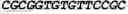 Fig. 12 - Modified Mullerian inhibiting substance (MIS) proteins and uses thereof for the treatment of diseases