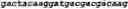 Fig. 14 - Modified Mullerian inhibiting substance (MIS) proteins and uses thereof for the treatment of diseases