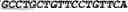 Fig. 16 - Modified Mullerian inhibiting substance (MIS) proteins and uses thereof for the treatment of diseases