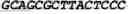 Fig. 17 - Modified Mullerian inhibiting substance (MIS) proteins and uses thereof for the treatment of diseases