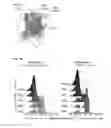 Fig. 11 - High affinity PD-1 agents and methods of use