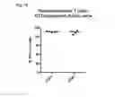 Fig. 23 - High affinity PD-1 agents and methods of use