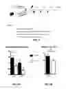 Fig. 03 - METHODS AND COMPOSITIONS FOR THE INHIBITION OF TRANSPLANT REJECTION