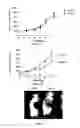 Fig. 09 - Method and Pharmaceutical Composition for use in the Treatment of Cancer