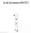 Fig. 35 - Temperature shift for high yield expression of polypeptides in yeast and other transformed cells