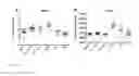 Fig. 13 - HUMANIZED ANTIBODIES SPECIFIC FOR STAPHYLOCOCCAL ENTEROTOXIN B