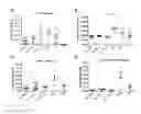 Fig. 14 - HUMANIZED ANTIBODIES SPECIFIC FOR STAPHYLOCOCCAL ENTEROTOXIN B