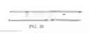 Fig. 07 - IMMUNOLOGICAL CONTROL OF BETA-AMYLOID LEVELS IN VIVO
