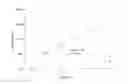 Fig. 10 - Methods for treating ulcers in thalassemia syndrome with an ActRIIB polypeptide