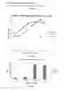 Fig. 30 - ANTIBODIES SPECIFIC TO CADHERIN-17