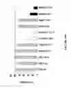 Fig. 23 - NOVEL ANTI-cMET ANTIBODY